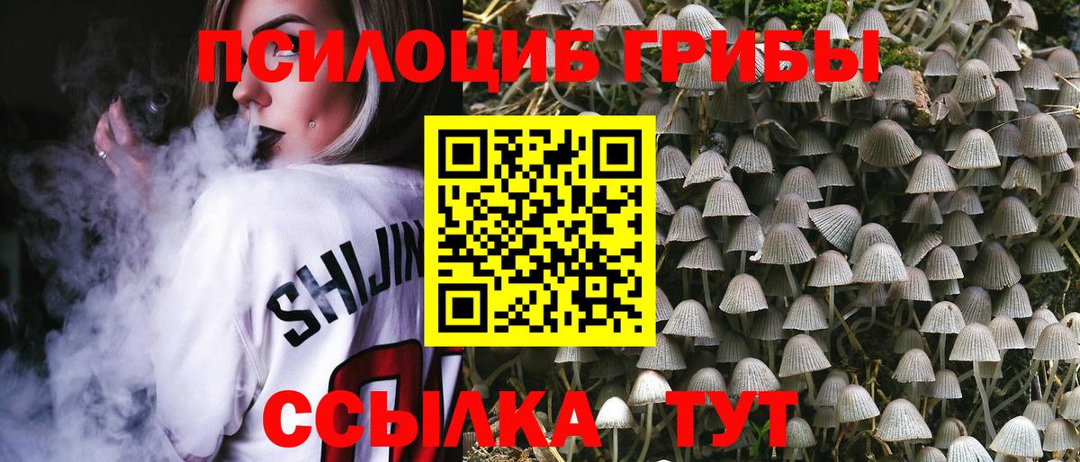 Киржач  Псилоцибиновые грибы мухоморы  Вход с VPN 